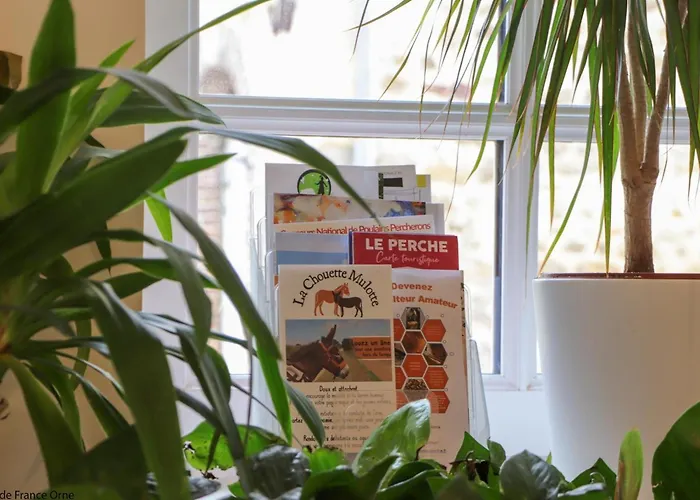 Holiday home Grande Maison Avec Jacuzzi, Animaux Admis, Proche Mortagne-au-perche - Fr-1-497-262 *